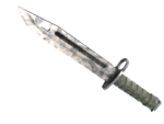 Bayonet | Stained (Field-Tested)