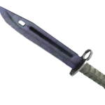 Bayonet | Blue Steel (Field-Tested)