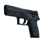 P250 | Forest Night (Well-Worn)