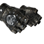 ★ Broken Fang Gloves | Unhinged (Field-Tested)