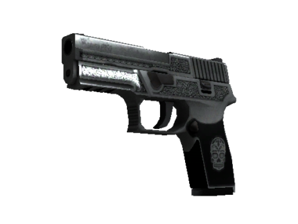 StatTrak™ P250 | Cartel (Field-Tested)