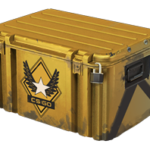 Winter Offensive Weapon Case